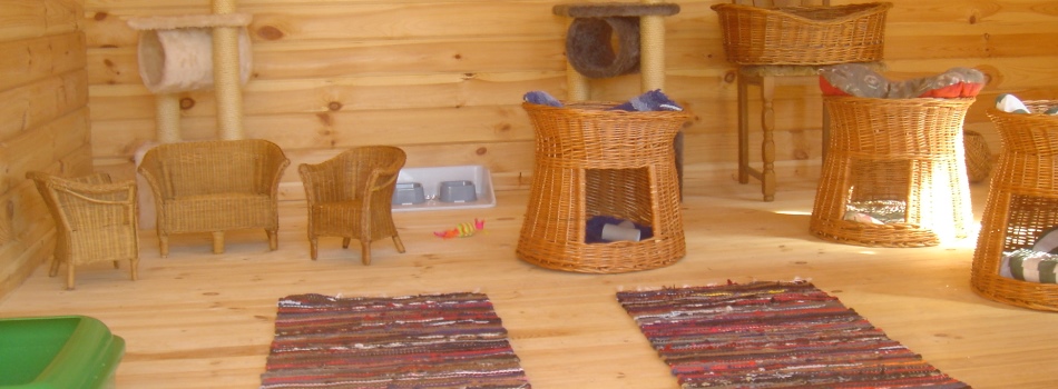 Innenraum eines Holzhauses der Tierpension